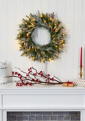 Snowed Christmas Wreath with Pine Cones