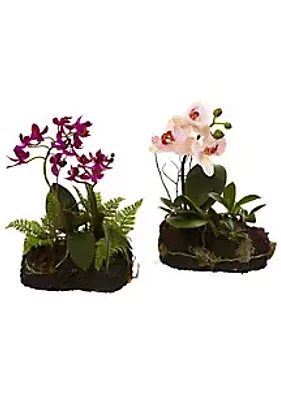 Nearly Natural Orchid Island (Set of 2)