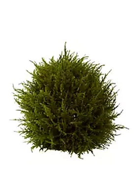 Nearly Natural 14-in. Cedar Sphere Topiary