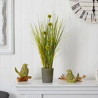 Grass and Dandelion with Cement Planter