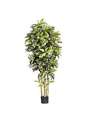 Nearly Natural 6' Croton Silk Tree