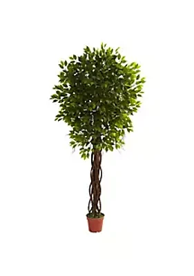 Nearly Natural -Foot Ficus Tree UV Resistant (Indoor/Outdoor