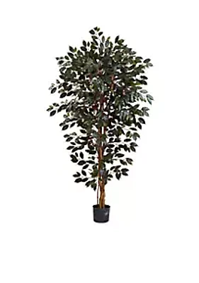 Nearly Natural 6-Foot Capensia Ficus Tree