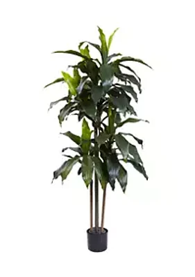 Nearly Natural Dracaena Plant  Indoor/Outdoor