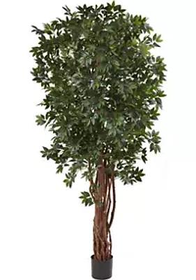 Nearly Natural Lychee Silk Tree