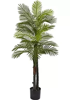 Nearly Natural Double Robellini Palm Tree Indoor/Outdoor