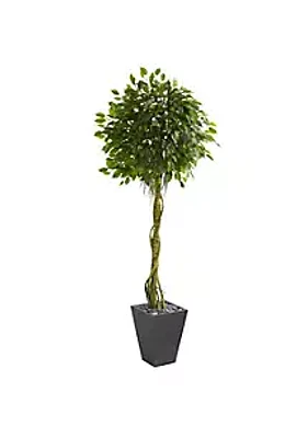 Nearly Natural 6-Foot Ficus Artificial Tree in Slate Planter UV Resistant (Indoor/Outdoor)