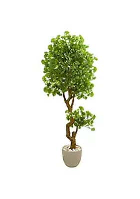 Nearly Natural 6.5-Foot Jingo Artificial Tree in Sand Colored Planter UV Resistant (Indoor/Outdoor)