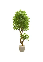 Nearly Natural 6.5-Foot Jingo Artificial Tree in Sand Colored Planter UV Resistant (Indoor/Outdoor)