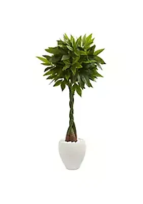 Nearly Natural 5-Foot Money Artificial Tree in White Oval Planter (Real Touch