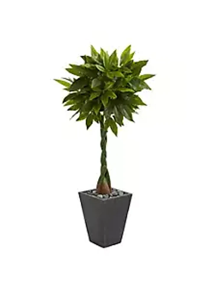 Nearly Natural 5-Foot Money Artificial Tree in Slate Planter (Real Touch)