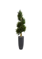 Nearly Natural 6-Foot Spiral Cypress Artificial Tree in Cylinder Planter UV Resistant (Indoor/Outdoor)