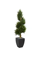 Nearly Natural 5.5-Foot Cypress Spiral Artificial Tree in Black Wash Planter UV Resistant (Indoor/Outdoor)