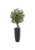 Nearly Natural 3.5-Foot Olive Artificial Tree in Gray Cylinder Planter