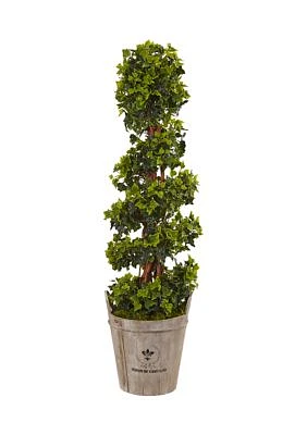 English Ivy Tree in Farmhouse Planter  Indoor/Outdoor