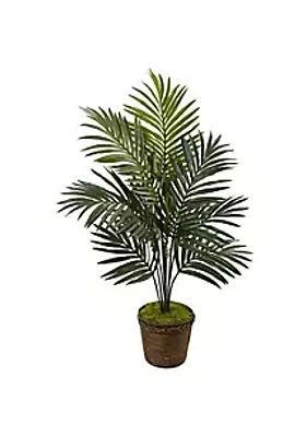 Nearly Natural 4-Foot Kentia Palm Artificial Tree in Coiled Rope Planter