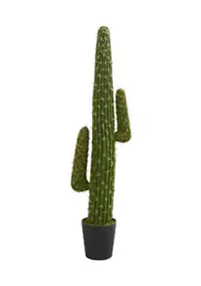 Nearly Natural Cactus Plant