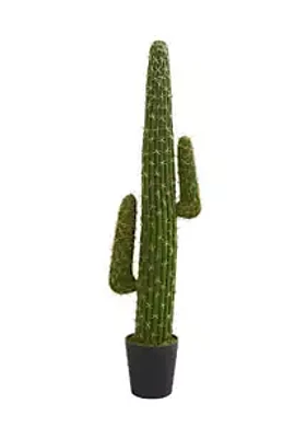 Nearly Natural Cactus Plant