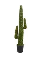 Nearly Natural Cactus Plant