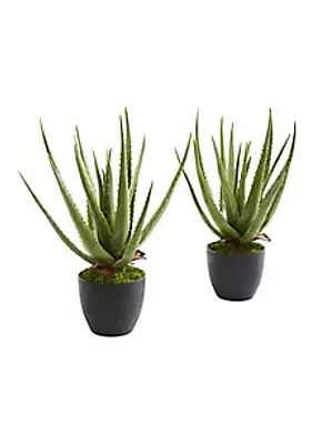 Nearly Natural Aloe Artificial Plant (Set of 2)