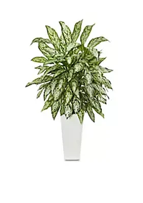 Nearly Natural Silver Queen Artificial Plant