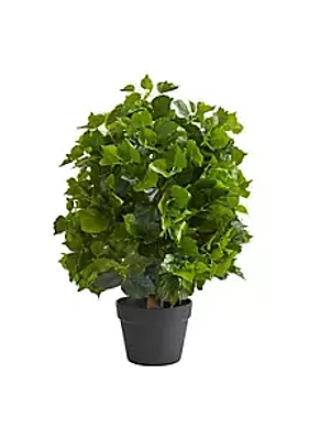 Nearly Natural 2-Foot Ficus Artificial Tree