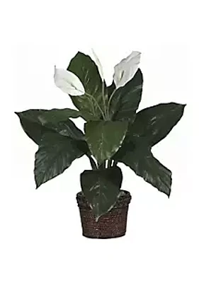 Nearly Natural Spathiphyllum with Wicker Silk Plant