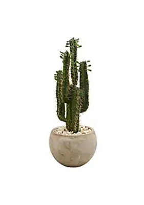 Nearly Natural 2.5-Foot Cactus Artificial Plant in Bowl Planter
