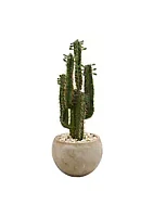 Nearly Natural 2.5-Foot Cactus Artificial Plant in Bowl Planter