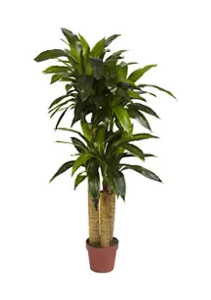 Nearly Natural 4' Corn Stalk Dracaena Real Touch Silk Plant