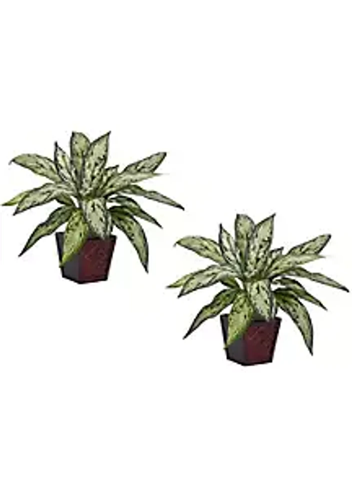 Nearly Natural Silver Queen Silk Plant (Set of 2)