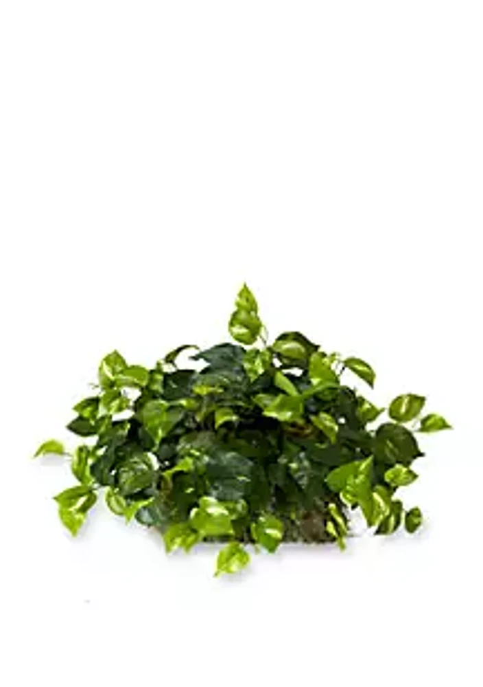 Nearly Natural Pothos Ledge Plant Silk Plant