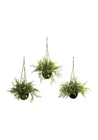 Nearly Natural Mini Ruscus, Sedum and Sperengeri Hanging Basket - Set of 3