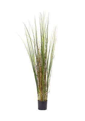 Grass and Bamboo Plant