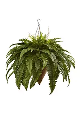 Nearly Natural Giant Boston Fern with Cone Hanging Basket