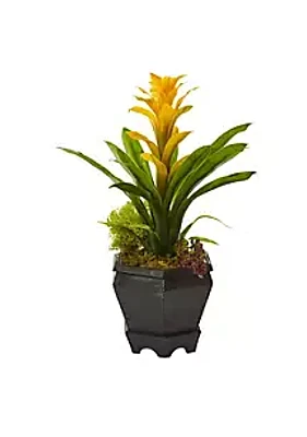 Nearly Natural Bromeliad in Black Hexagon Planter