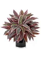 Nearly Natural Caladium Artificial Plant in Black Glossy Planter