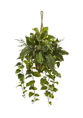 Nearly Natural Assorted Pothos and Boston  Fern in Hanging Basket