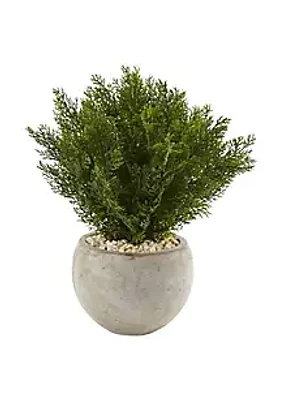 Nearly Natural 2-Foot Cedar Artificial Plant in Sand Colored Bowl