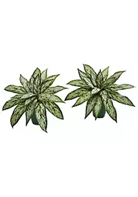 Nearly Natural Silver Queen Artificial Plant in Green Planter (Set of 2)