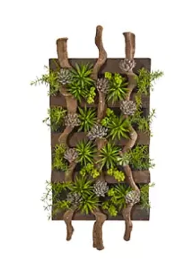 Nearly Natural Assorted Succulent Living Wall