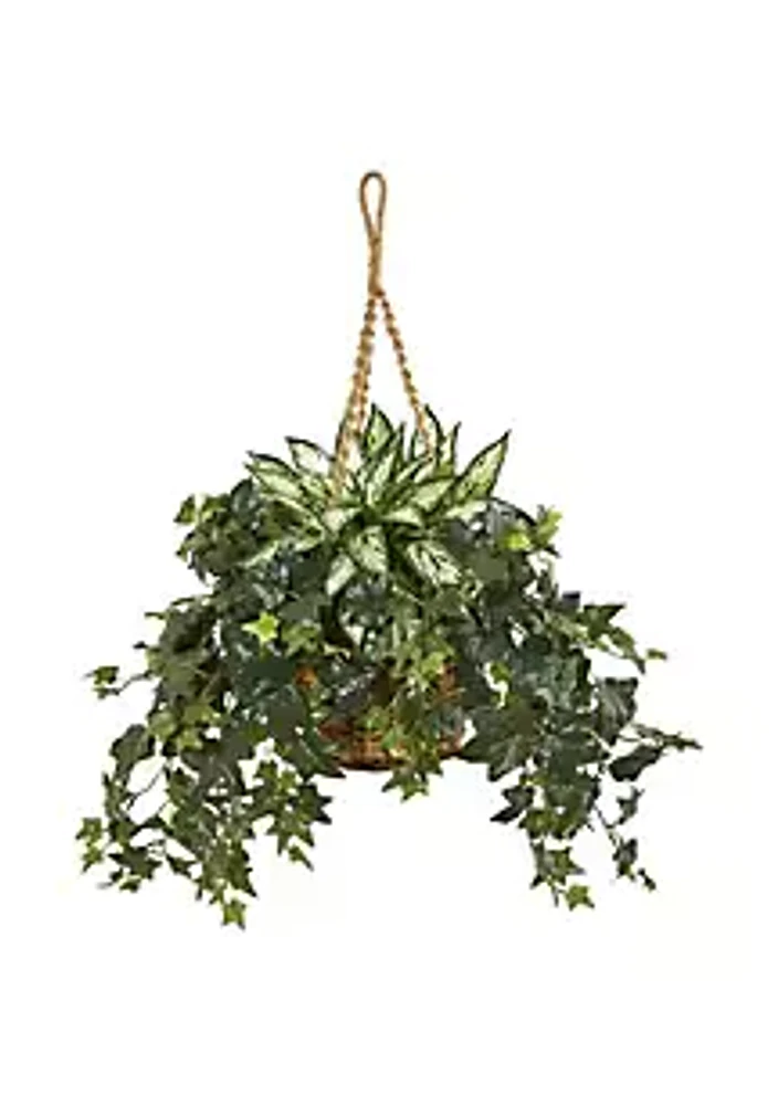 Nearly Natural 30-Inch Silver Queen and Ivy Artificial Plant in Hanging Basket