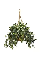 Nearly Natural 30-Inch Silver Queen and Ivy Artificial Plant in Hanging Basket