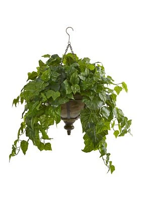 London Ivy Plant in Hanging Bowl