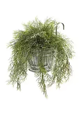 Nearly Natural Tillandsia Moss Plant in Vintage Hanging Metal Pail