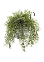 Nearly Natural Tillandsia Moss Plant in Vintage Hanging Metal Pail