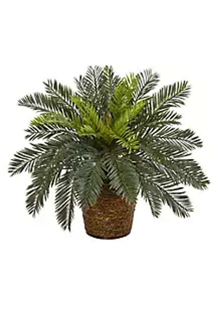 Nearly Natural 15-Inch Cycas Artificial Plant in Basket