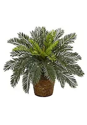 Nearly Natural 15-Inch Cycas Artificial Plant in Basket