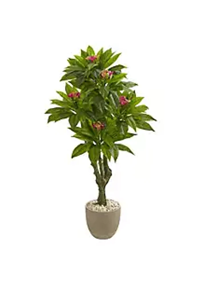 Nearly Natural 5-Foot Plumeria Artificial Tree in Decorative Planter UV Resistant (Indoor/Outdoor)