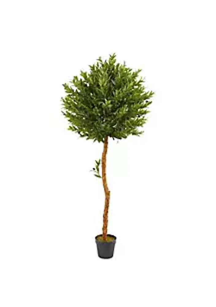 Nearly Natural 5.5-Foot Olive Topiary Artificial Tree UV Resistant (Indoor/Outdoor)